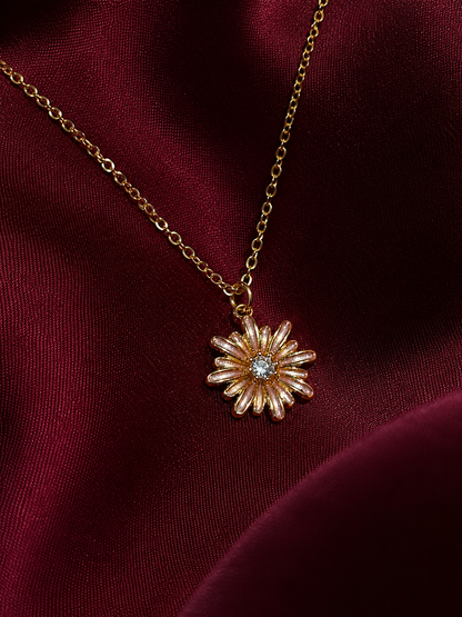 Daisy